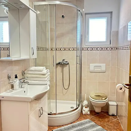 公寓 Ivelj 沃迪切