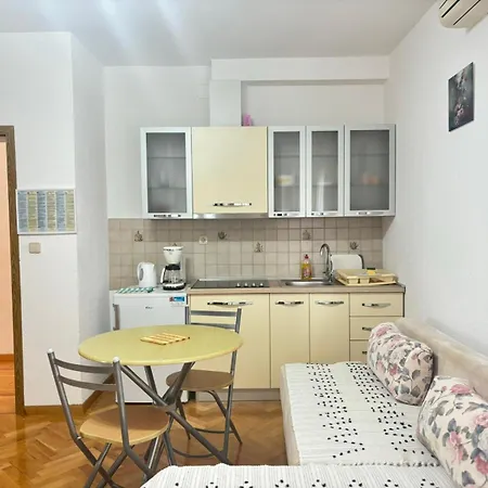 公寓 Ivelj 沃迪切